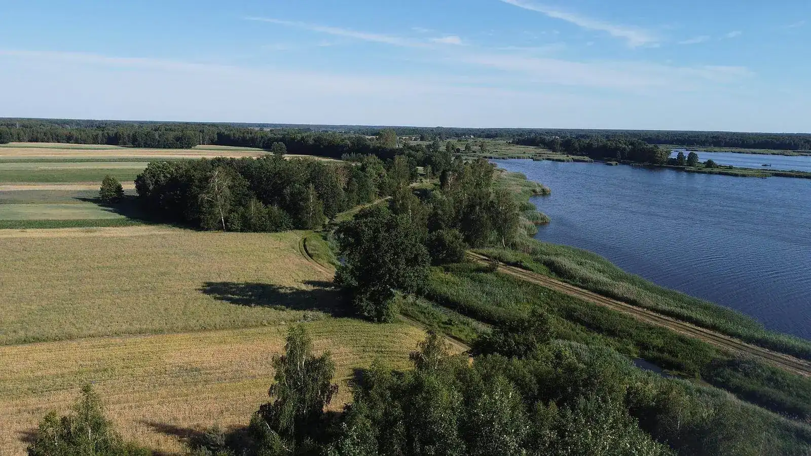 Domki Weles wśród drzew na Polesiu