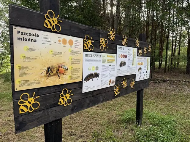 Tablica edukacyjna o pszczole miodnej