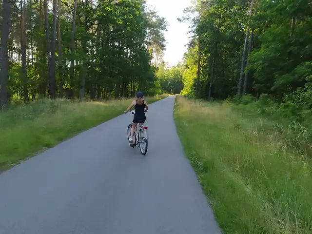 Rowerzysta na ścieżce pieszo-rowerowej wśród sosnowego lasu