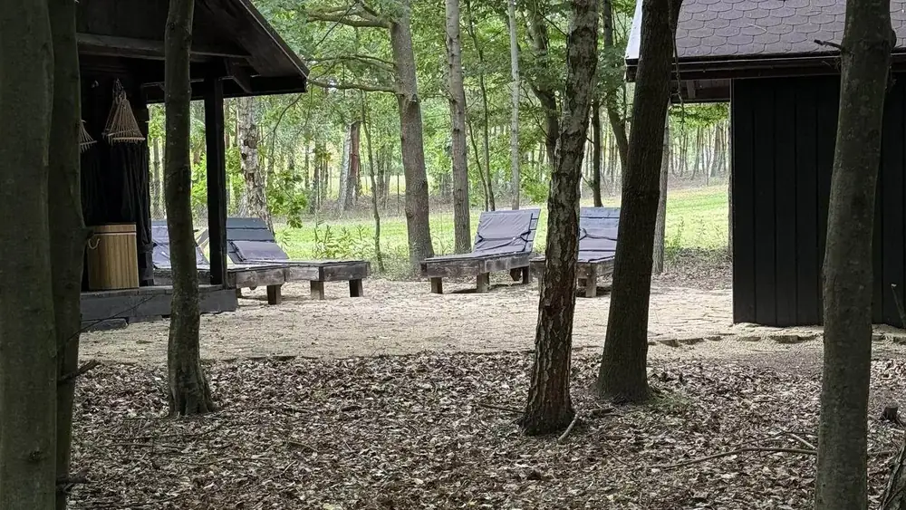 Strefa relaksu w Weles - domki sauny i wypoczynku wśród drzew